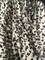 1 Yard Black 3D Butterfly Mesh Fabric with Satin Appliqué on Stretch Sheer Base 54 Inch Wide
